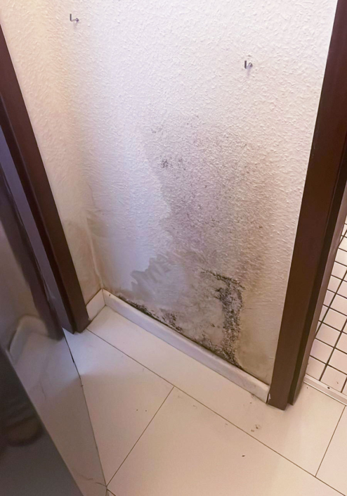 Referenz der Firma Gehring® GutachtenBüro GmbH Referenz der Firma Gehring® GutachtenBüro GmbH